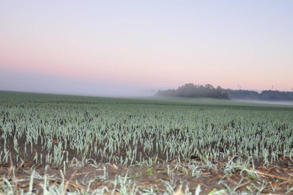 Ferienhaus Woddow Uckermark 外观 照片